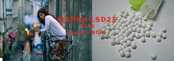 прущие грибы Липки