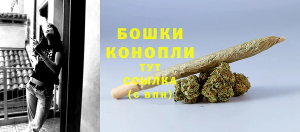 прущие грибы Липки
