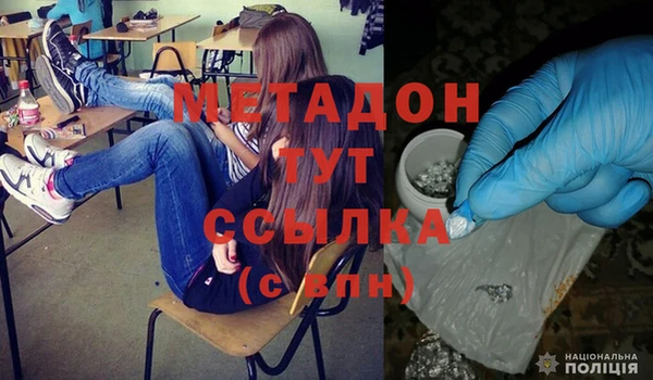 прущие грибы Липки