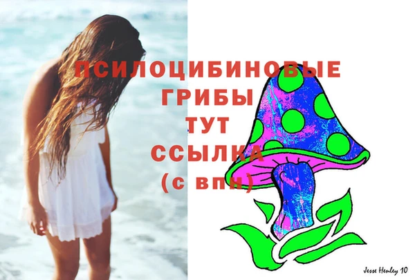 спиды Лиски