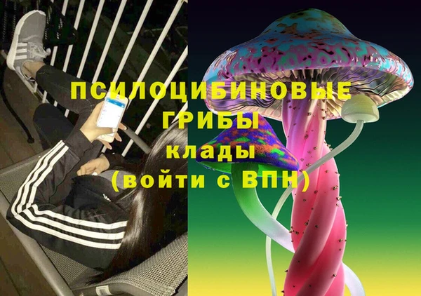 спайс Ладушкин