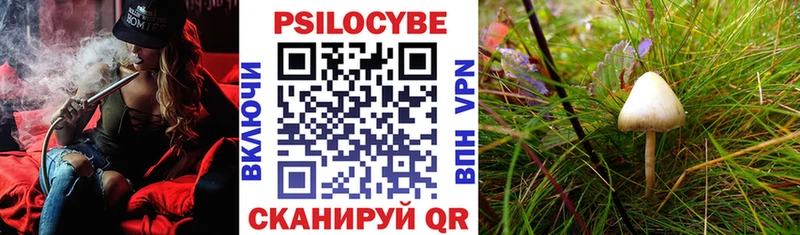 Псилоцибиновые грибы прущие грибы  Рязань 