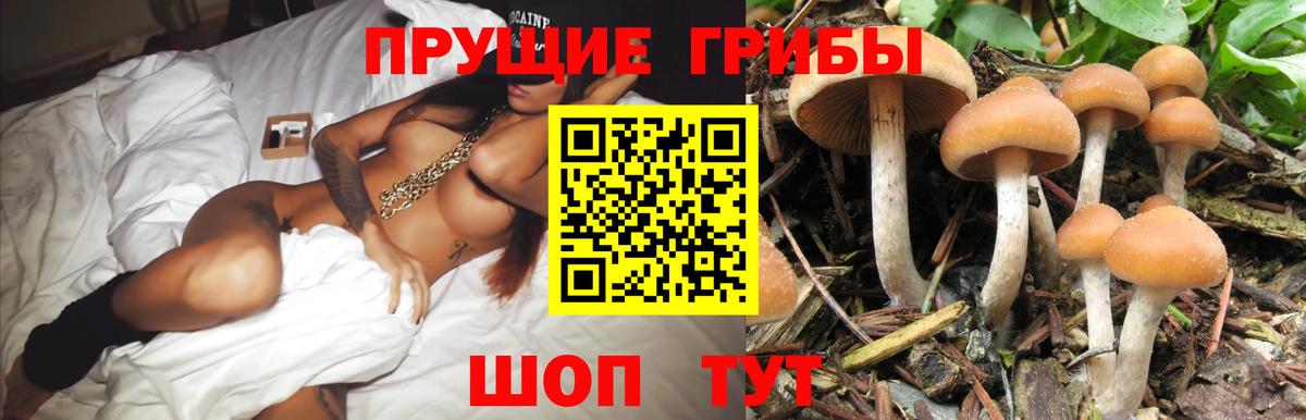 Галлюциногенные грибы мухоморы  магазин продажи наркотиков  Рязань  Галлюциногенные грибы MAGIC MUSHROOMS 